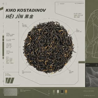 Скульптурный крой · 黑金